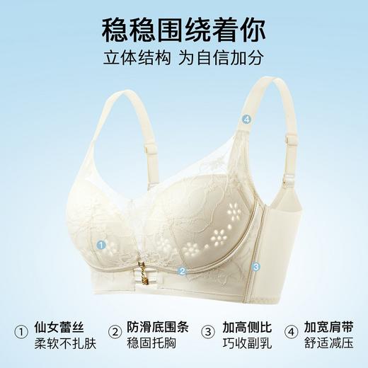梨园春色 文胸(VIP) 内衣女舒适聚拢有型薄款聚拢收副乳无钢圈文胸 商品图1