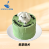6英寸卡通•手绘系列动物奶油生日蛋糕（11选1） 商品缩略图4