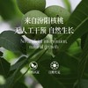 晟麦有机核桃油250ml 商品缩略图4