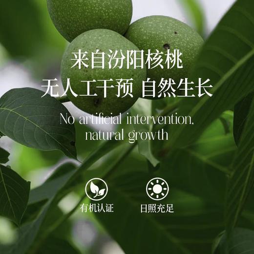 晟麦有机核桃油250ml 商品图4