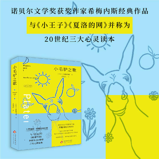 小毛驴之歌 商品图0