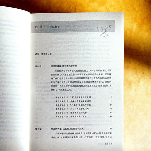 进阶式生涯教育 课程治理现代化丛书 王琦 郭丽萌 学校生涯规划 商品图6