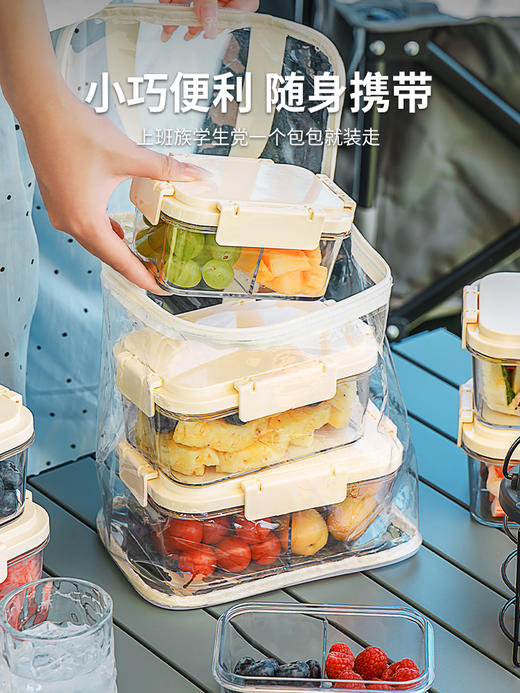 户外水果冰镇保鲜盒手提式便当盒塑料密封盒食品级家用冰箱收纳盒 商品图4