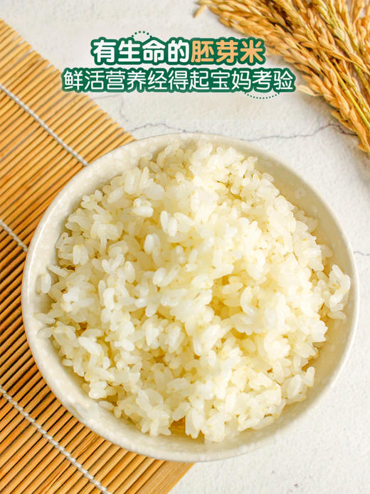 *物元农场双有机胚芽米新米东北粳米熬米油米汤杂粮粥饭胚芽粗粮|新米|全胚芽粳米 商品图2