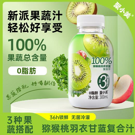 【新派果蔬汁 轻松好享受】羽衣甘蓝猕猴桃果蔬汁 300ML*8瓶/箱 商品图0
