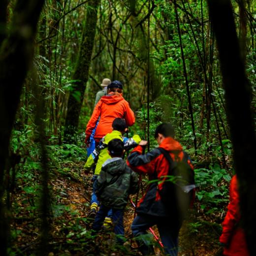 【暑假】康藤高黎贡 | 在毛毛球森林，看盛夏自然博物营 5天4晚 商品图2