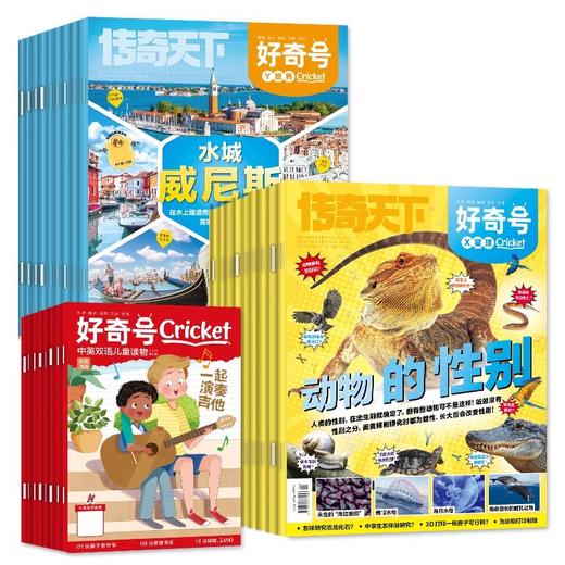 【丹妈独家赠书】2026年好奇号全年订阅 （2026年1月-12月）加小创客 商品图1