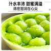 【专属】玉菇甜瓜 冰淇淋口感 软糯香甜当季现摘水果 顺丰包邮 源产地直发 商品缩略图6