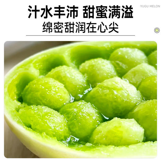 【专属】玉菇甜瓜 冰淇淋口感 软糯香甜当季现摘水果 顺丰包邮 源产地直发 商品图6