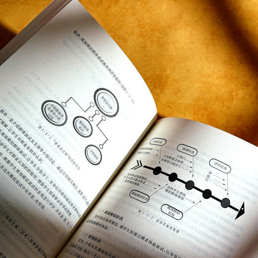 进阶式生涯教育 课程治理现代化丛书 王琦 郭丽萌 学校生涯规划 商品图11