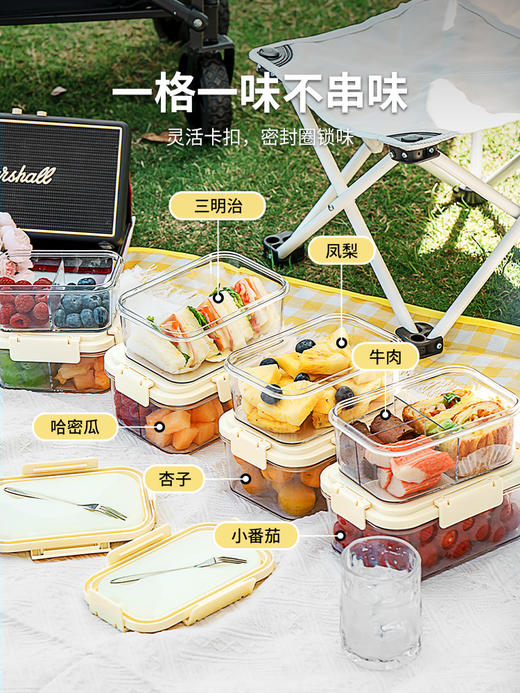 户外水果冰镇保鲜盒手提式便当盒塑料密封盒食品级家用冰箱收纳盒 商品图3