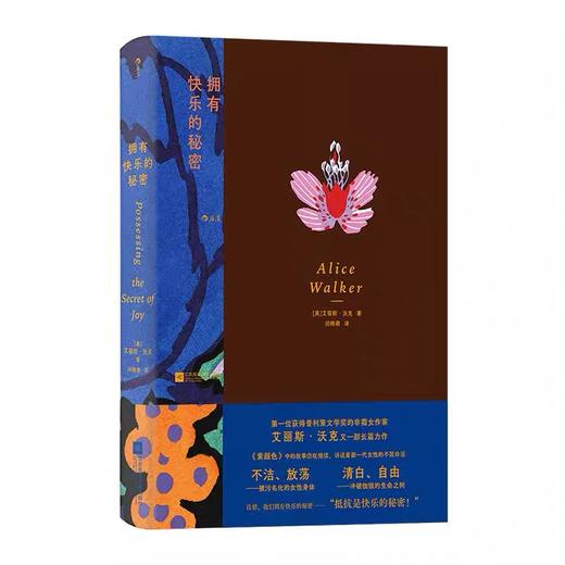 拥有快乐的秘密 紫颜色姊妹篇 文化暴力反抗女性主义文学 外国长篇小说 后浪正版 商品图3