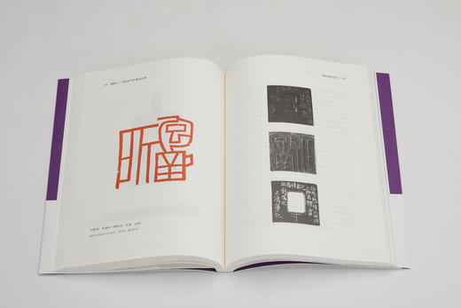疆理：刘彦湖书法篆刻论集 商品图13