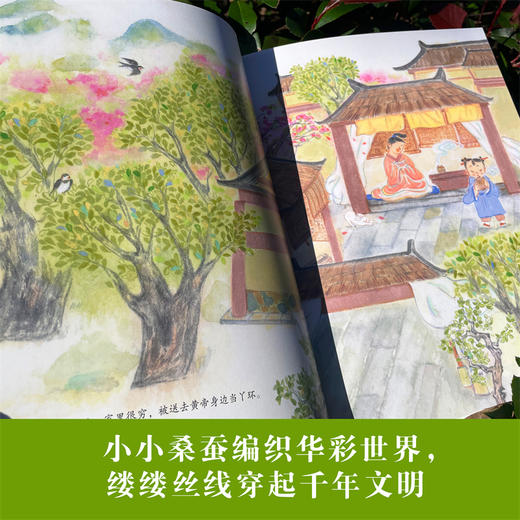 小晴养蚕 商品图2