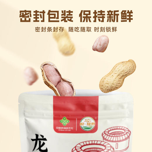 福建省悦绿野炒制熟花生 商品图5