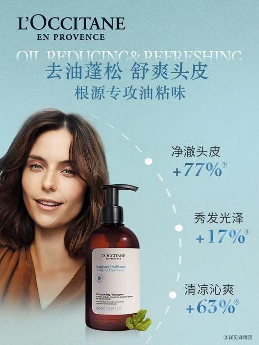 L'OCCITANE欧舒丹 草本香菁纯纯净洗发露 商品图1
