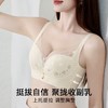 梨园春色 文胸(VIP) 内衣女舒适聚拢有型薄款聚拢收副乳无钢圈文胸 商品缩略图2