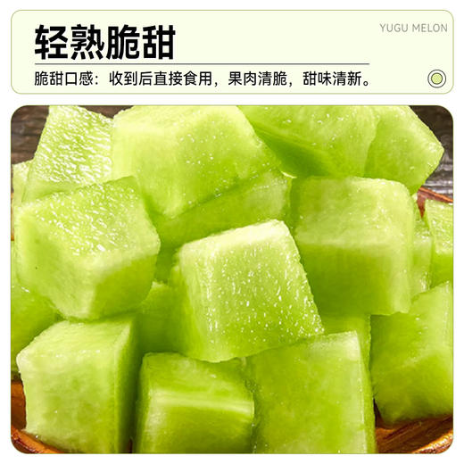 【专属】玉菇甜瓜 冰淇淋口感 软糯香甜当季现摘水果 顺丰包邮 源产地直发 商品图4