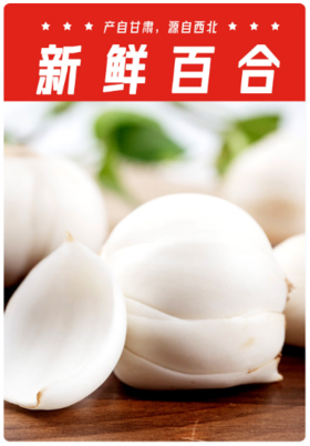 兰州百合有机甜百合1.5kg 炒菜炖汤熬粥 源头直发