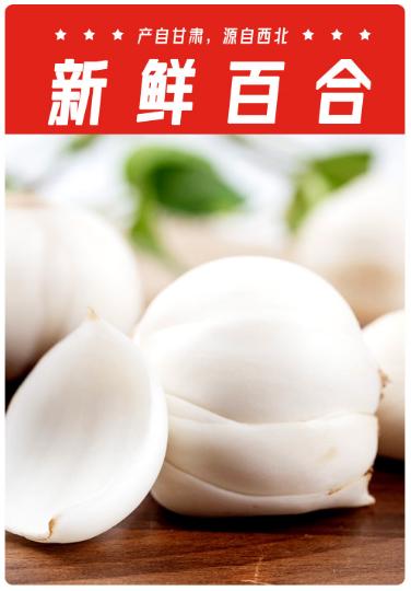 兰州百合有机甜百合1.5kg 炒菜炖汤熬粥 源头直发 商品图0