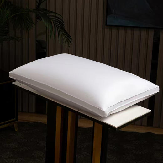 臻品鹅绒立体枕 商品图1