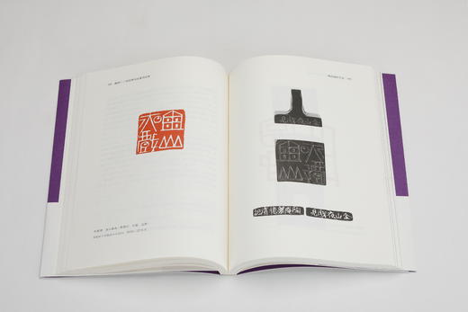 疆理：刘彦湖书法篆刻论集 商品图12