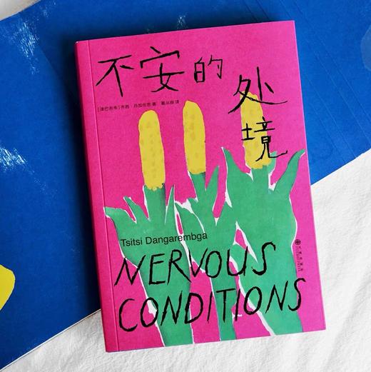 不安的处境 家庭环境女性成长 非洲女性主义里程碑 外国文学小说 后浪正版 商品图1