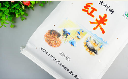 罗田 楚天绿叶 大别山红米5kg/袋 商品图1