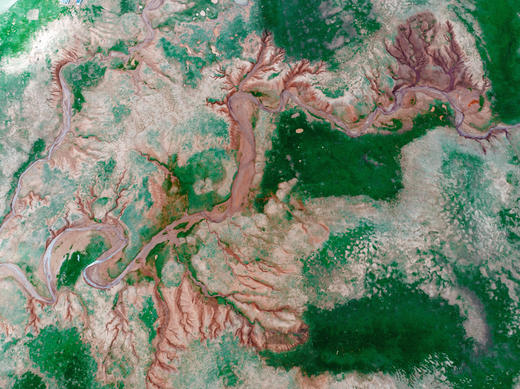 青海・三江源｜寻找《生命树》，赴一场中华血脉的源头之约 商品图0