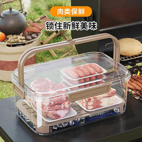 手提便携保鲜盒 出户外春游便当 盒学生水果密封盒食品级冰箱携带