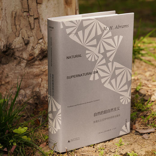 【文学纪念碑078】自然的超自然主义：浪漫主义文学中的传统与革命  定价158元 商品图2