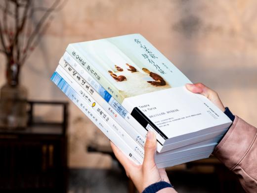 《林清玄治愈全书》（全5册）| 首次完整集结林清玄所有代表作   人生太累的时候，就看看他 商品图9