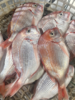 & 颜值很高[色]经济划算的海鱼🐠赤棕鱼，口感很细腻[强]清蒸酱油水非常好吃活冻 商品缩略图1