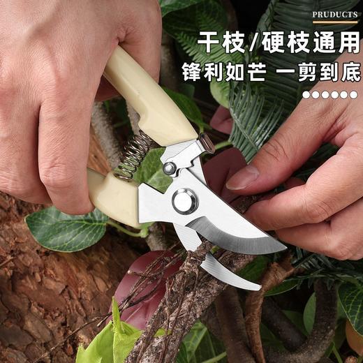 【JL】修剪树枝剪刀 商品图1