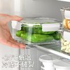 保鲜盒食品级冰箱专用收纳盒冷冻带盖食物密封盒水果便当盒小学生 商品缩略图3