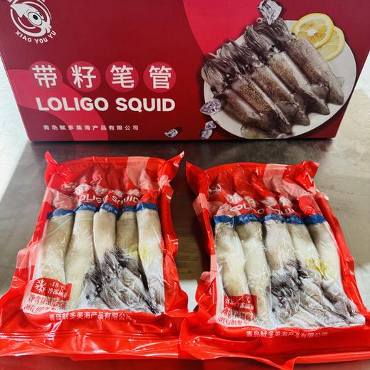 【生鲜专区】🐙墨斗鱼/笔管鱼/海兔  带籽/无籽可选 一包约500g(净重约400克）顺丰/京东包邮{冷冻生鲜请及时签收 冷冻保存} 商品图0