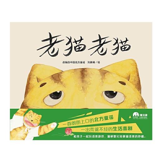 【独秀书香卡】魔法象·图画书王国  老猫老猫  4~12岁 语言表达 儿童绘本 商品图1