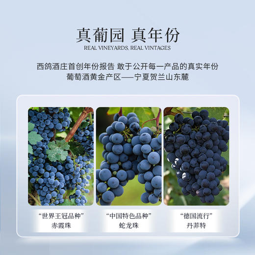 新品西鸽酒庄N18干红葡萄酒 商品图3