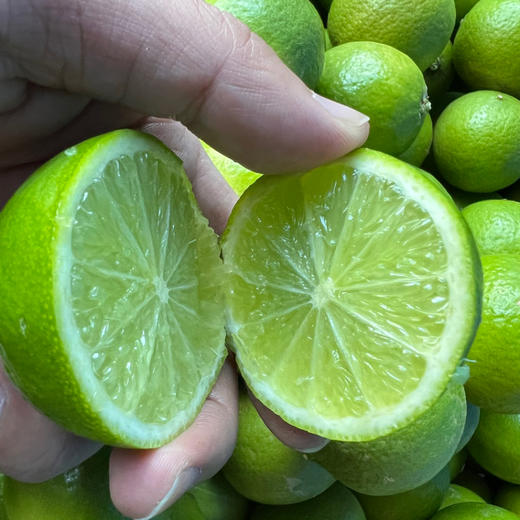 云南塔希提无籽香水青柠檬 商品图0