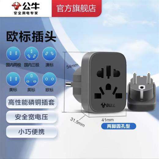 公牛 欧标德标旅行电源转换器插座转换插头 国内电器国外使用 适合国外使用 1个 商品图0