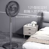 海尔七叶电风扇落地扇家用大风力台立式强力节能摇头 商品缩略图8