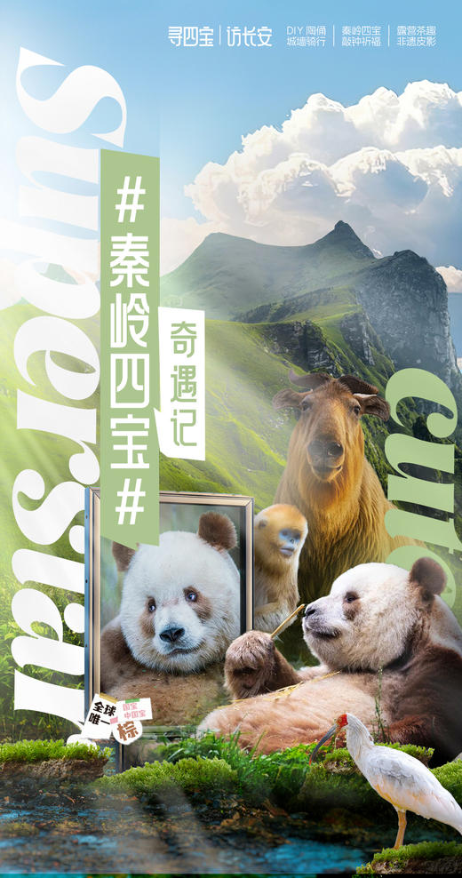 【西安】4天3晚  秦岭四宝奇遇记 商品图0