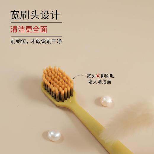 【陈修园·百年古方】皓齿安植物洁牙粉 多规格可选【套组牙刷颜色随机】 商品图9