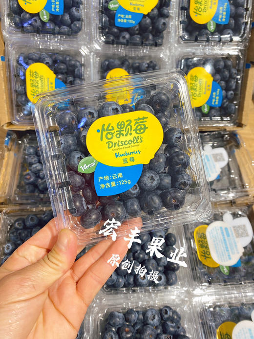 【宏丰精选】怡颗莓蓝莓，口感脆甜，花香味浓郁 活动价16.8元一盒 商品图0