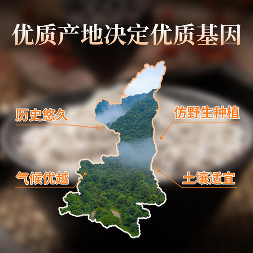 正品陕西汉中秦岭高山天麻粉150g300g仿野生种植超细粉高效吸收易溶解脑力劳动贴心守护滋补养生煲汤泡水 商品图1