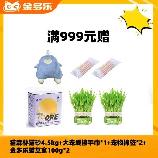 【赠品链接，单拍不发货】单笔实付满999元赠品 商品图0