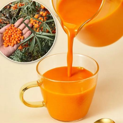 俄罗斯大果沙棘原浆黄金果汁 商品图3