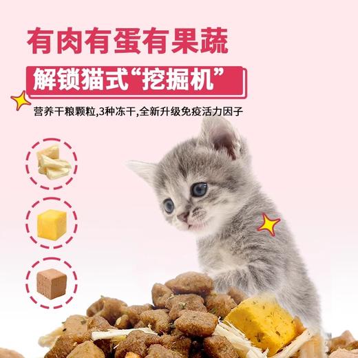 【雷米高】活力果全价幼猫奶糕粮猫粮小猫咪冻干肉蛋果蔬营养五拼主食 商品图4