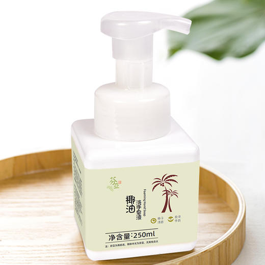 【特惠6.8折起】芬亚 椰油洗手皂液 泡沫丰富细腻 250ml/2L 商品图1