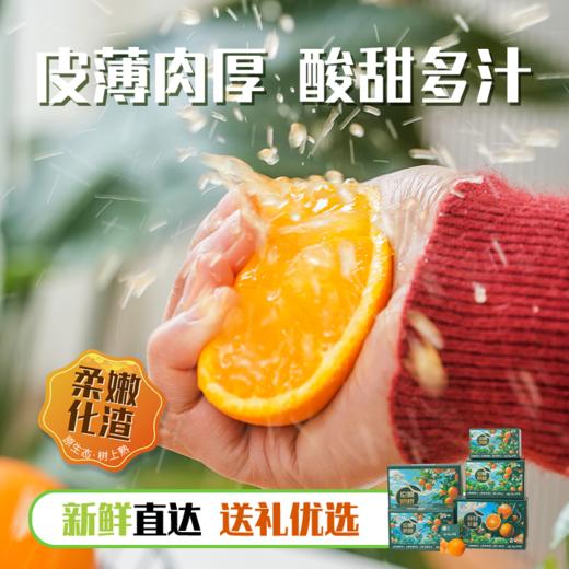 湖北秭归伦晚脐橙4.5-5斤彩箱装【分仓直发，72小时发货，周末节假日不发货】 商品图5